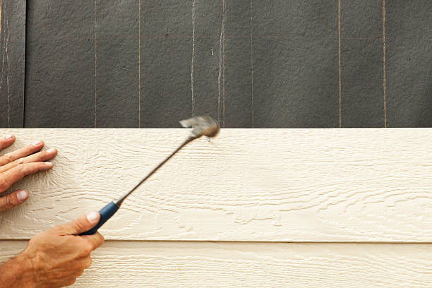 Best Stone Veneer Siding  in Crouch Mesa, NM